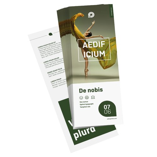 Flyers & Leaflets, multi-packs, DL, printed on both sides 1