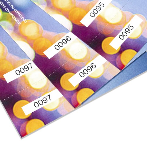 Event Tickets, Maxi, printed on both sides 3
