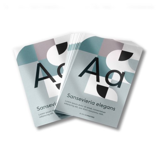 Flyers & Leaflets with special-effect colours , round, Ø 21 cm , printed on both sides 5