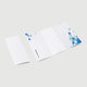 2-fold letter fold 2-fold letter fold