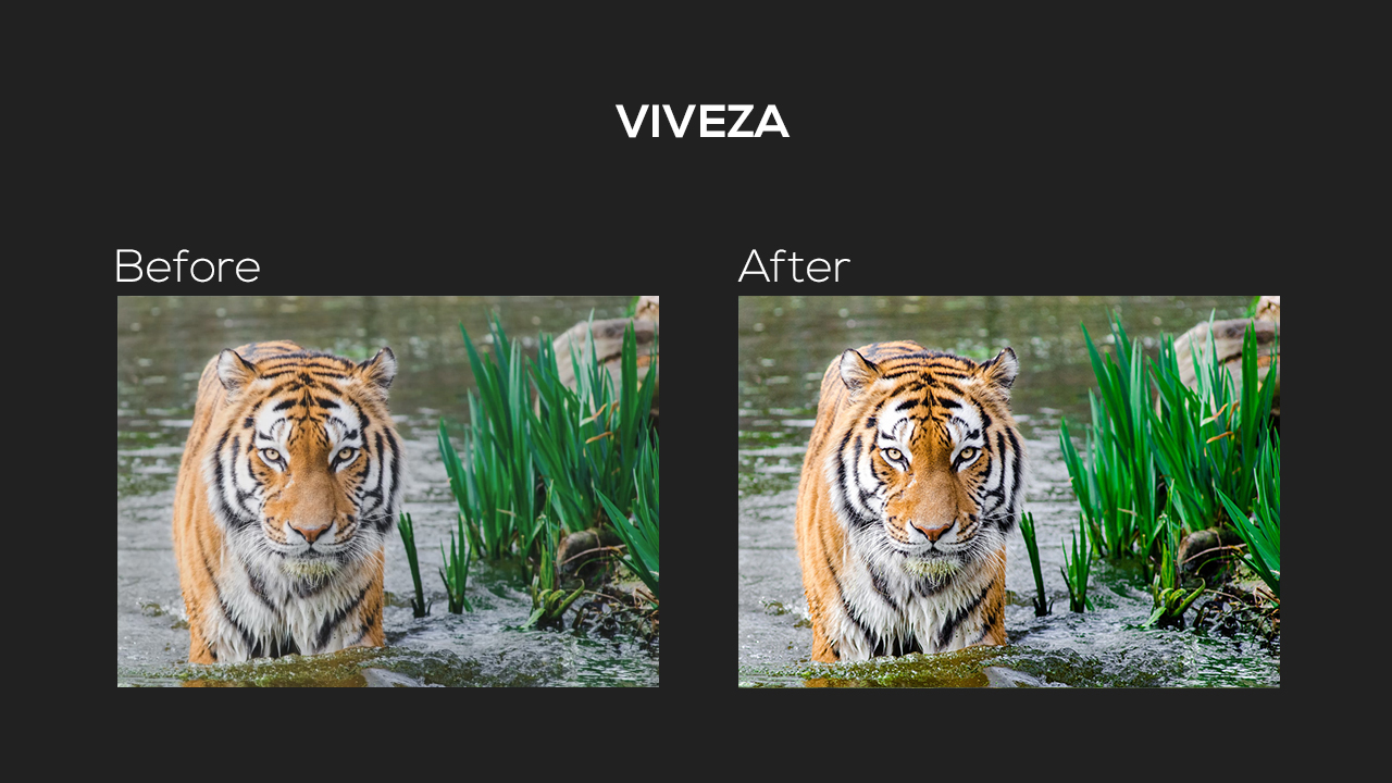Before and after using the Viveza tool