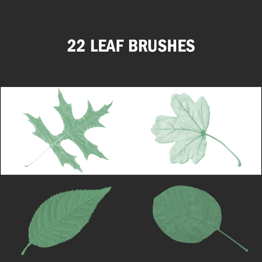 Capture the mood of autumn with these free leaf brushes