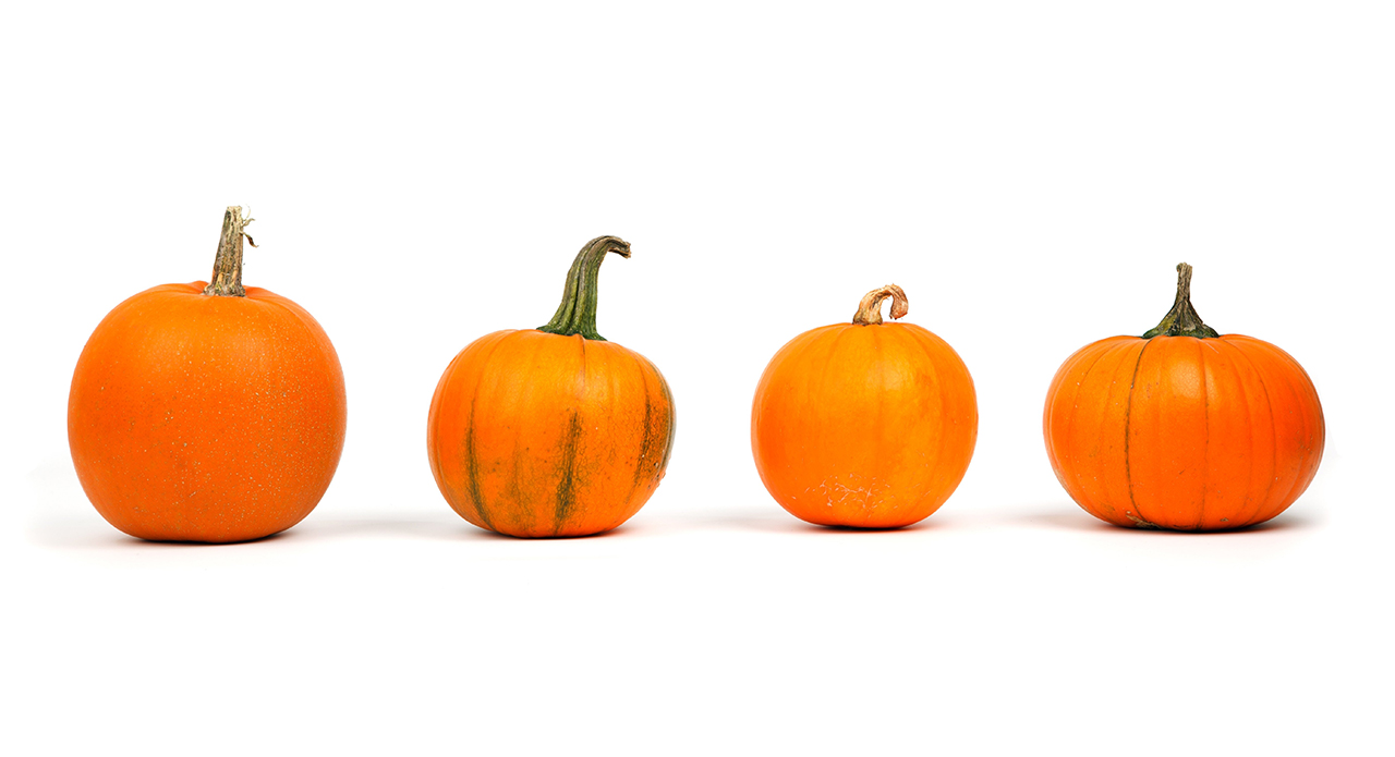 Une image de quatre citrouilles