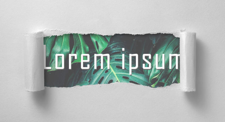 Lorem ipsum dummy text: text generators and alternatives