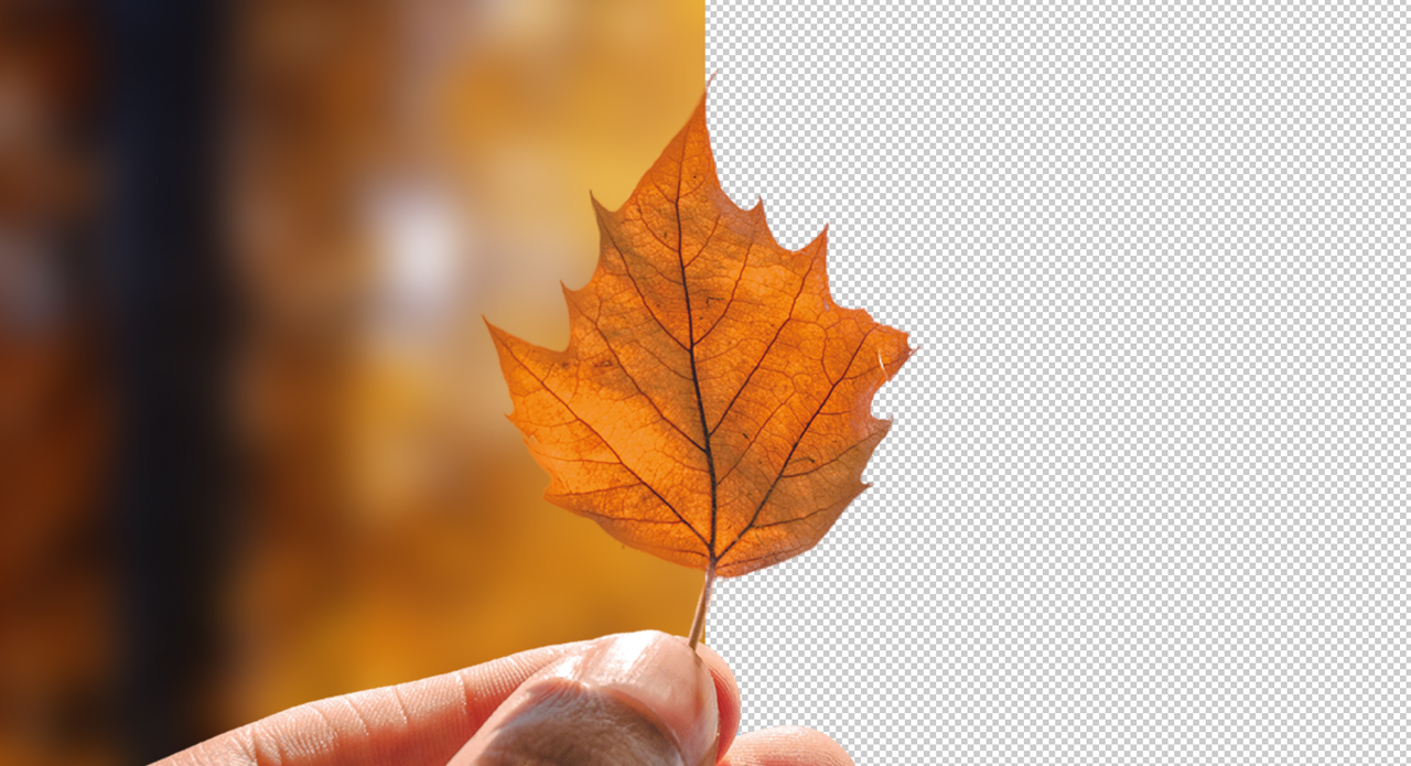 Making a background transparent in Photoshop – Basics Tutorial